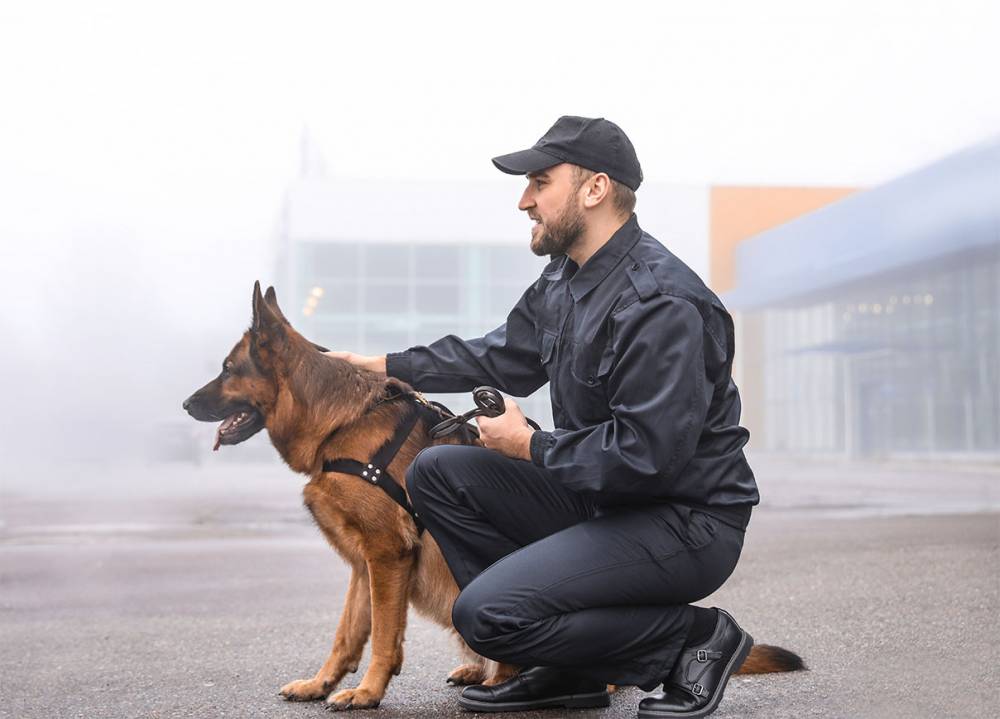 Agent sécurité Gironde (33) ? | Shielder